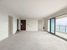 两江新区 中央公园大平层 保利天珺浅山 4房3卫