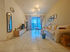 蓝光帕提欧 刚需小三居 医疗配套成熟 双卫格局 满二