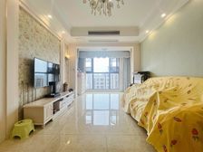 精装两房大露台把日子过成诗的 模板 轻轨奥体 重医必看!