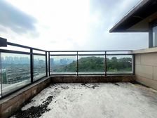 一线临崖双拼 688万急售 照母山 万科颐府 大花园视野好