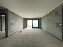 碧桂园中俊天玺 233.35平5居 南向毛坯 着急出售