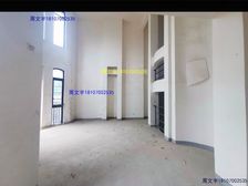 急售 红角洲超稀缺大气独栋大别墅 使用过千 花园大 莱电咨询