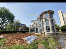 急售 别墅天花板 临湖独栋别墅带大花园 高品质圈层 莱电咨询