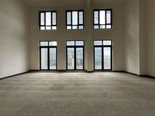 花园500平 龙湖舜山府一期别墅 四房 1800万