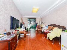 新理想家园 南向采光好 正规商品房 临地铁 有电梯 刚需两居