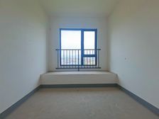 正看蓝花楹朝中庭视野好