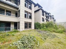 天,110万 下叠带150平花园,还带80平地下室, 爆