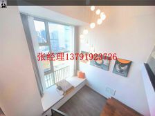 海月星湾 loft买一层送一层 实得90平 楼下地铁