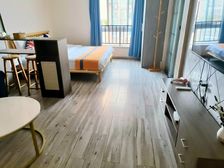 通天然气 轻轨100 小区电梯房 拎包入住 精装修