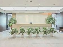 CBD核心丨业主直租丨地铁口丨大气前台丨高层落地窗丨国贸万达