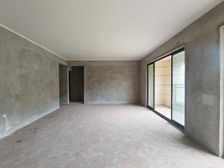 龙湖天街旁 轻轨站边 桥达天蓬樾府海棠谷 四房 90万