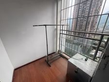 12.29 近轻轨中央大街 公园商圈围绕 商业配套成熟