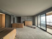 融汇半岛观江,全江景洋房,视野无遮挡。可小刀