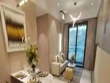 华润置地·公园上城 业主诚心出售 价格可谈 送车位包税 东南