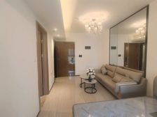 70年产权 紧临桃城 锦城 英才 洛桃城 电梯房 志臻大产权