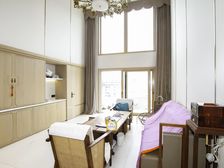 徐汇滨江 无.敌江景 顶楼复式 7室3厅 带露台 看房方便