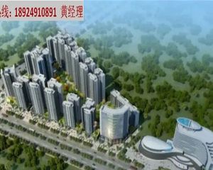 伟信金沙南岸(线上售楼处)5xxx/㎡,精装现房,来电95折