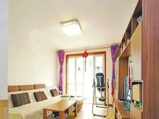 稻田地铁 8层电梯洋房 光合作用 南北通透 业主诚售