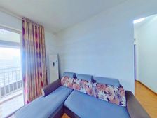 石桥铺 森林旁 电梯两房双阳台 近轻轨 公园 配套成熟