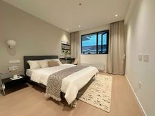 新出笋盘 电梯入户!豪华装修全送 带固定车位 近地铁300M