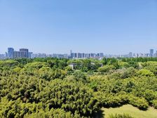 推开窗就能看到植物园,这风景太美了,飞机户型三房,还送车位。