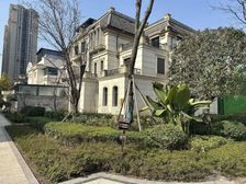 紫檀联排端户内圈位置 靠大中庭 单层面积大 带300平花园