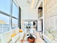 带租4000!业主着急出售 送全屋家私家电 南浦地铁站上盖