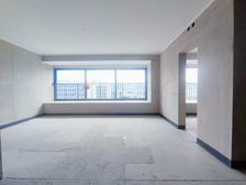 大方厅品质花园洋房,带数八,吧蜀,近中央公园,地铁