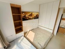 秀湖公园家装一室 电梯房 随时看房子