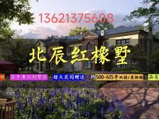 北辰红橡墅 类独栋 单层面积200多平 花园面积大 下沉庭院