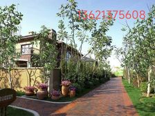 北京:奥北别墅独栋/双拼1500万,销冠楼盘,房源不多了