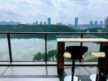 一手新房 大阳台 世城悦湖花园 万科物业。全湖景朝向景观