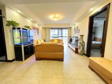 南北通透精装修,11层小高位于9楼,两室客厅朝阳,南北双阳台