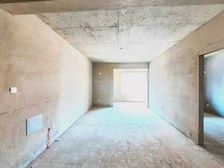 二期 小高层 电梯入户 地铁 公园环抱