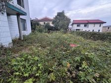 (物业租售部)纯独栋 低容积 南北通透 楼层好 正规商品房