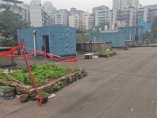 双钢路小区东向两居 顶层采光佳 80平仅119万