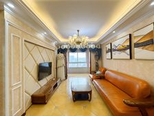 捡耙活(独数八)精装三房,轻轨9号线,中央公园,光环商圈旁!