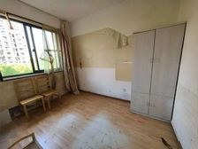 徐泾北城海棠馨苑(南区)南北户型明厨明卫采光好看房随时