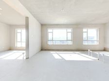 金象泰梧桐墅207平+顶加阁+5层电梯房+4个露台