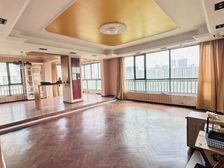 内环内237平五房,楼花位置看公园景观,一梯一户带保姆间