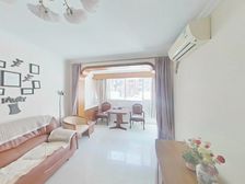 2003年建海桐樱花 ,双南双天井,D铁站百 ,南北通透