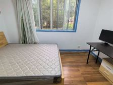 世纪公园南北通全明3房,近轨交不靠路,环境优美诚意出售急急