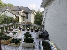 甄选好房!诸新一村独栋别墅 准拆房 独栋 无违建