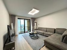 徐汇滨江 电梯小高层 朝南户型采光超好 业主诚售 远离马路