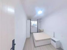 新上笋盘, 委托,电梯高区双南两房,直观徐汇滨江,价格可谈