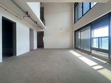 空中平墅,可以看来福士,