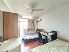 上海师大新村1居33.86平南朝向视野开阔采光好