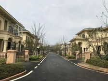 光谷东红莲湖双拼边户别墅南入户243平