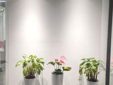 健翔大厦 4.5全含 临近十号线地铁 京藏高速旁边