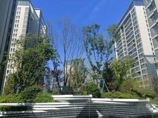 太平层城市片区 外国语43中精装小高层清盘